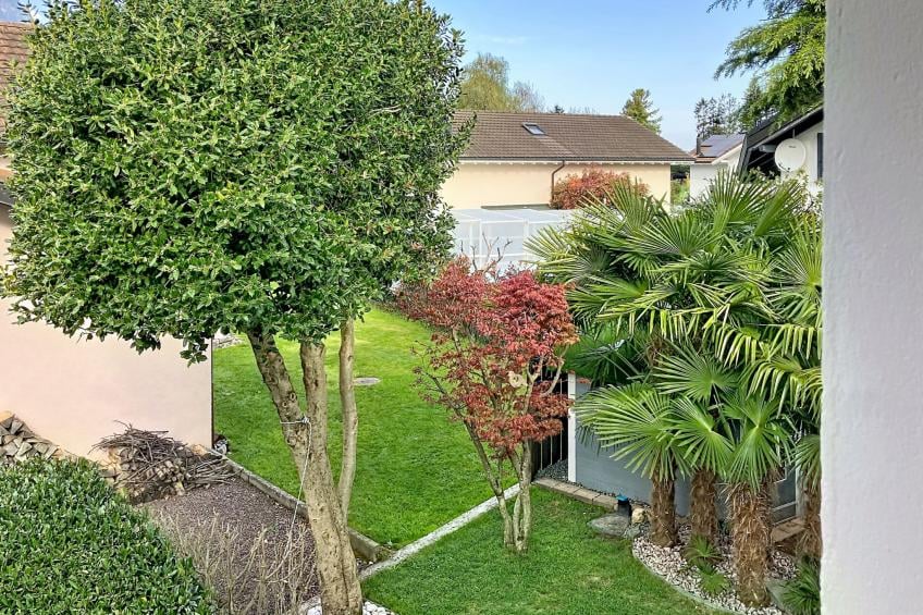 La Maison des Palmiers - foto 6
