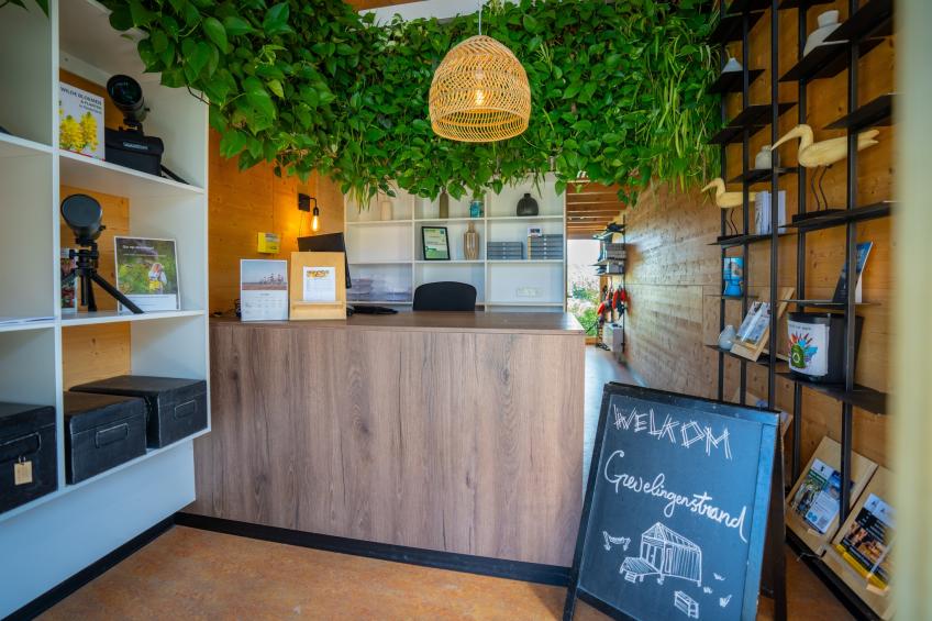 Eco Resort Grevelingenstrand - one dog - foto 14