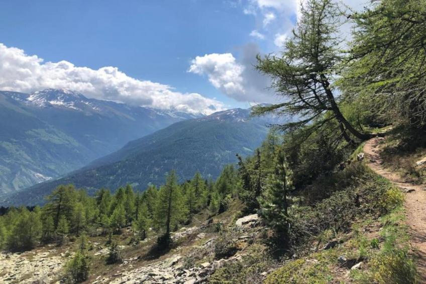 Mayens de l'Ours CZ 013 - MOUNTAIN apartment 8 per - foto 27