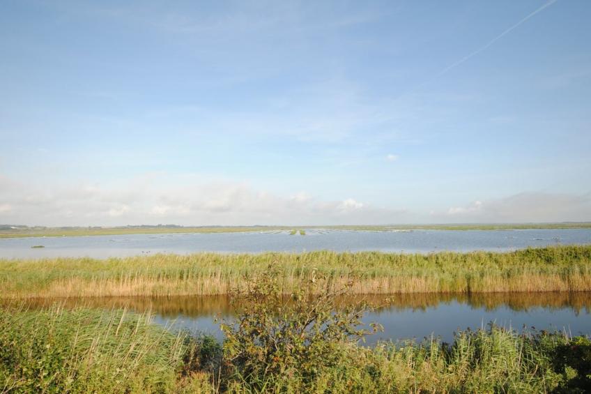 "Leocadia" - 150m to the inlet in The Liim Fiord - foto 2