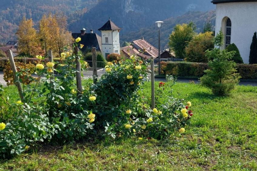 Giselas Ruheplatz - foto 14