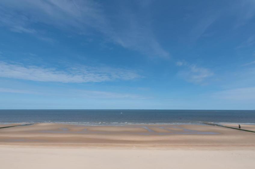 VENT DE SABLE - foto 40