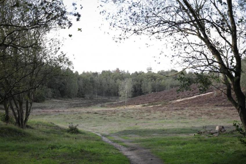 Heivlinder Comfort 4+2p - foto 15