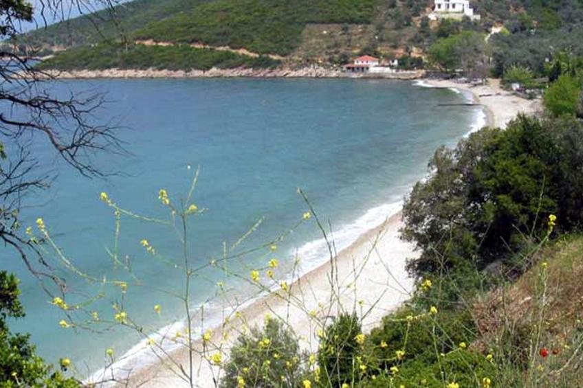 Niki Studios 3 - foto 25