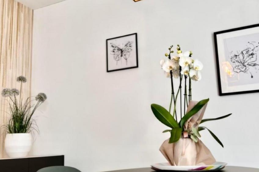 mit Bergblick - foto 17