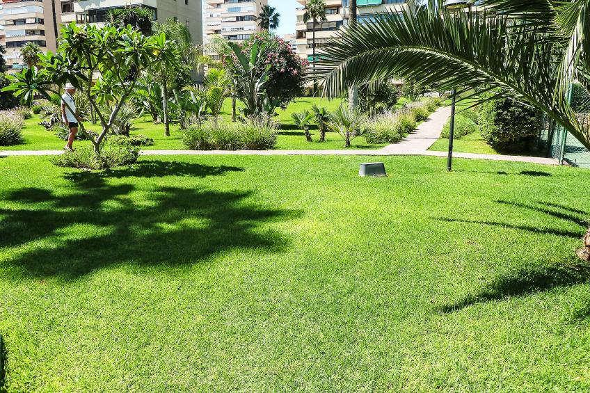 Playamar - foto 37