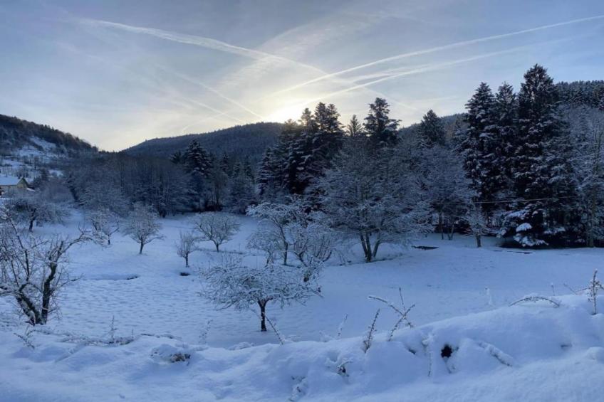 Curtille du Mesnil 2 - foto 37