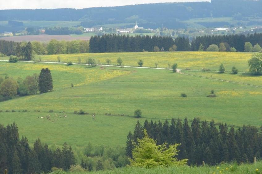 Snowview Lodge - foto 20