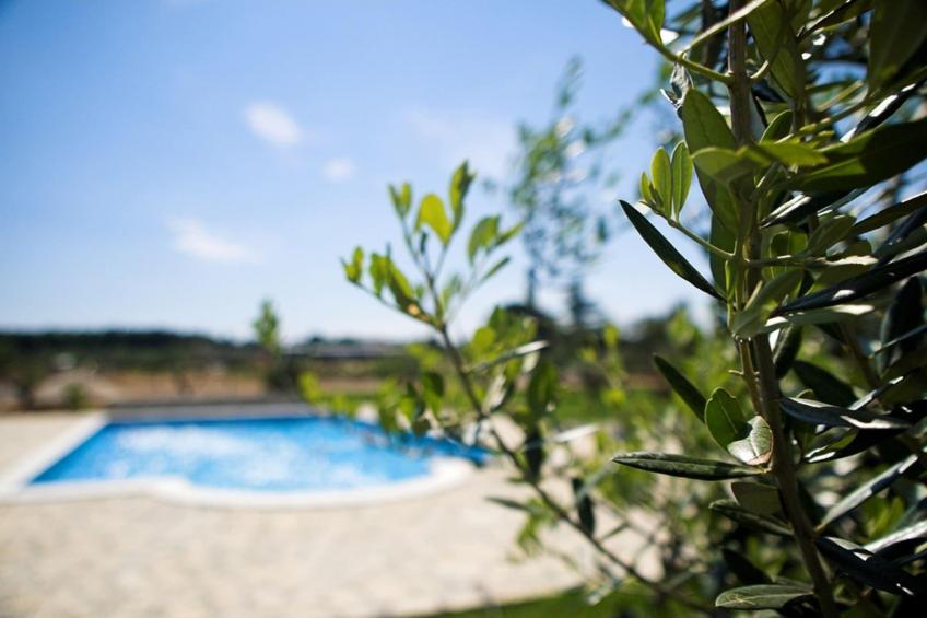 Marceta Apartment 1 - Pool and Big Garden - foto 20