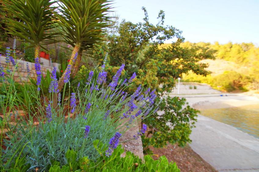 Getaway Beach House-One Bedroom Holiday Home with Terrace and Sea View - foto 22