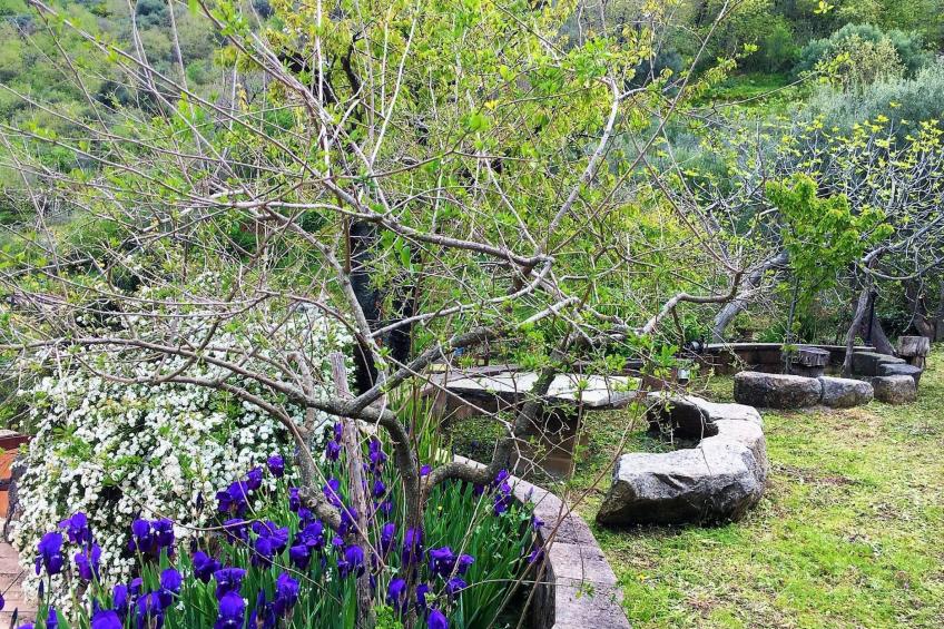 Flache Zeder - foto 38