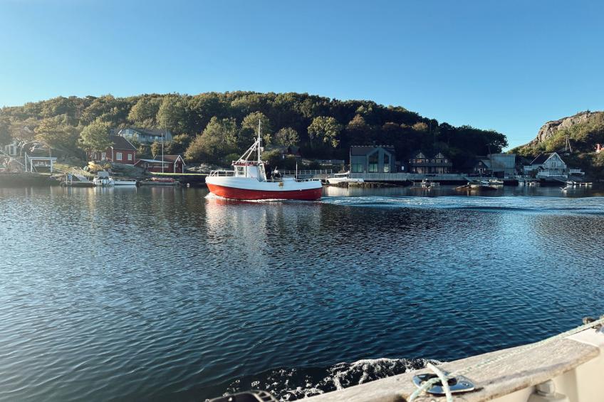 Nesjaholmen (FJH102) - foto 28