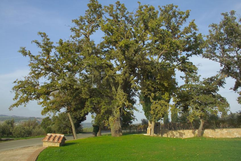 Villa 'Fontaelle' mit Garten und Terrasse - foto 16