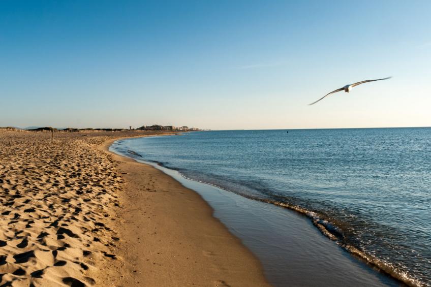 Grand Sud - foto 26
