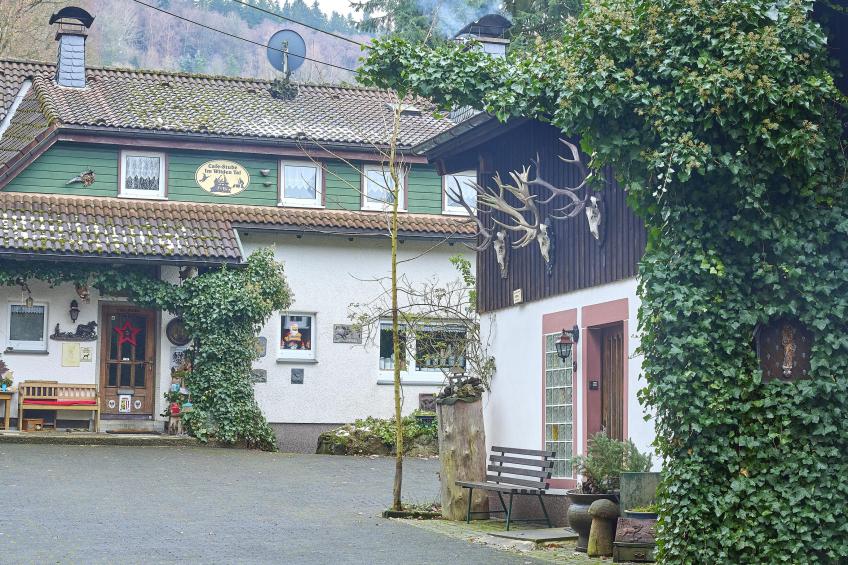 Am Damwildgehege I - foto 27