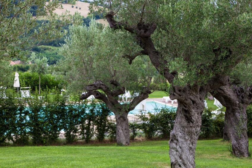 Wohnung mit Privatparkplatz - foto 30