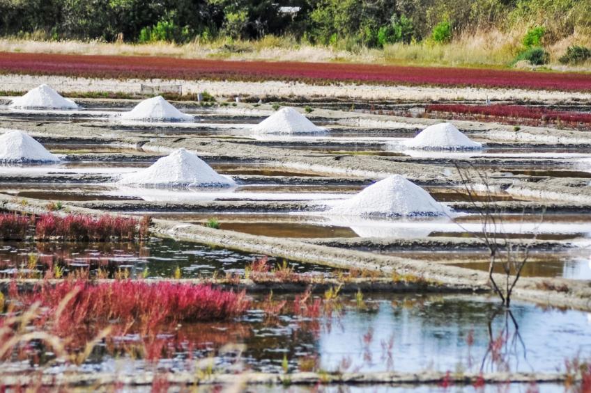 Chalet moderne La Baule-Guérande - foto 32