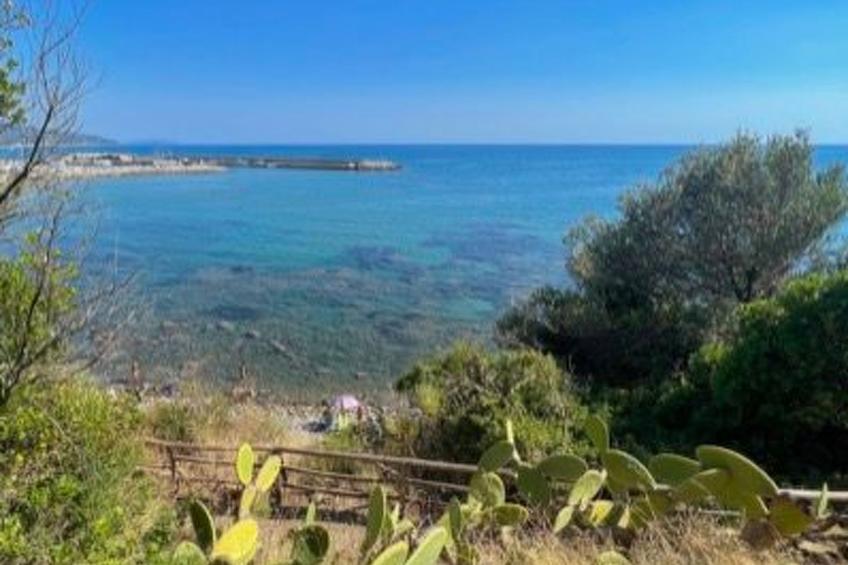 Dominella 3 - Apartment in Casal Velino für bis zu 3 Personen mit Terrasse - foto 18