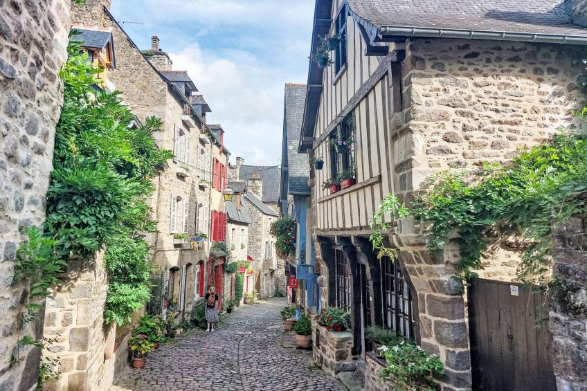 Les Agapanthes - foto 42