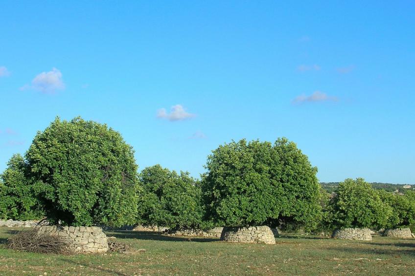 Charmantes Dachgeschoss mit Terrasse mit Blick auf die Landschaft. - foto 42