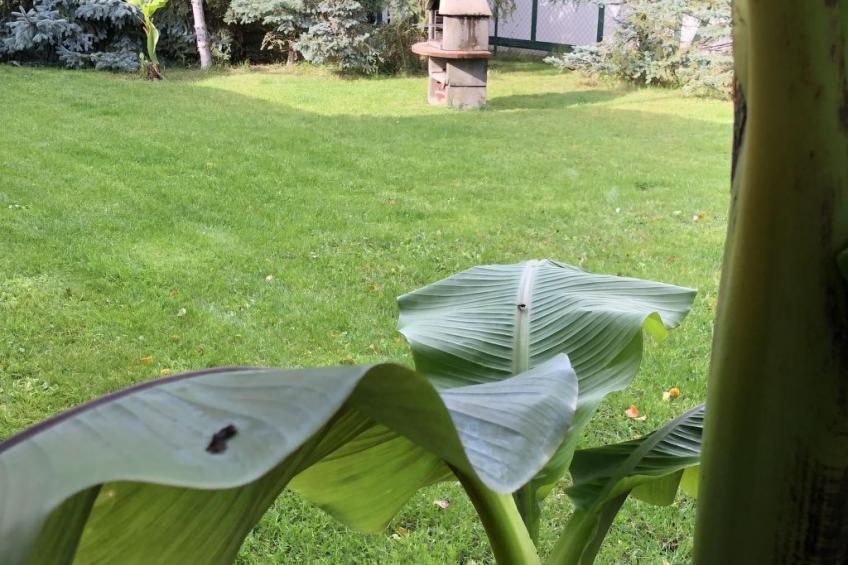 mit Garten, Grill und Terrasse - foto 5