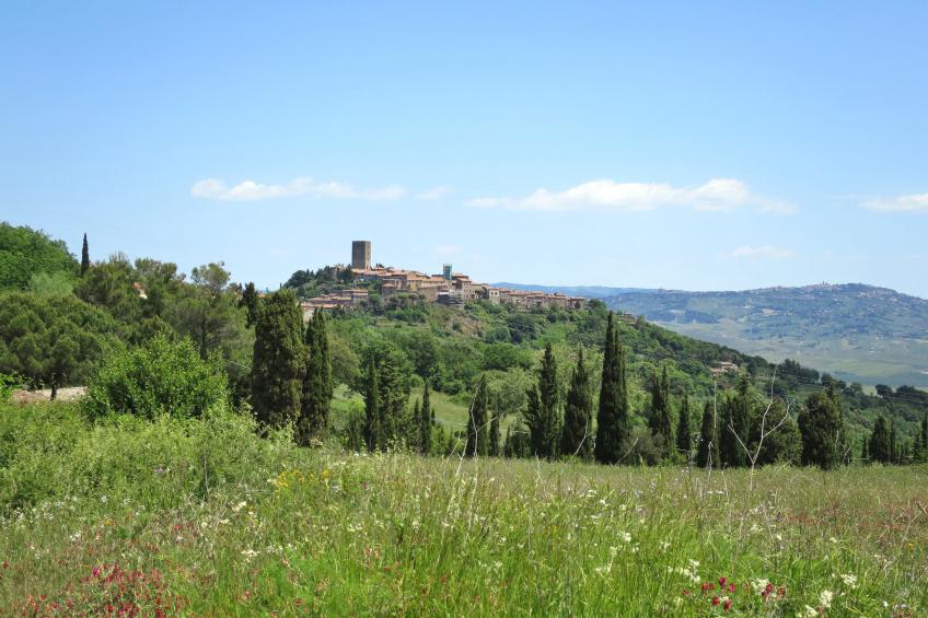 Podere Sant'Antonio - foto 22