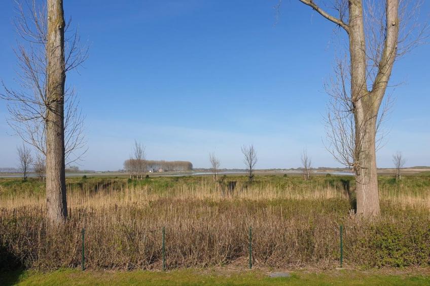 Schoneveld 176 Zeemeeuw Breskens - foto 28