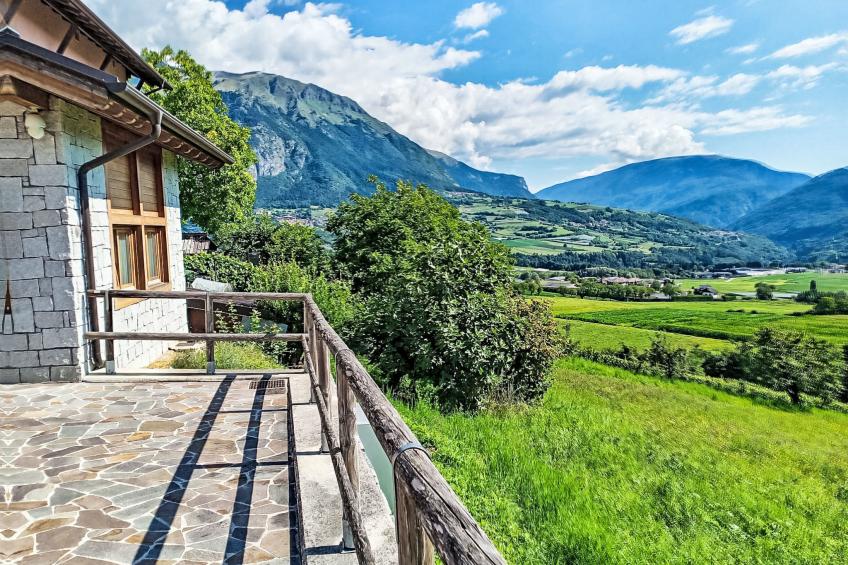 Picchio Primavera - foto 8