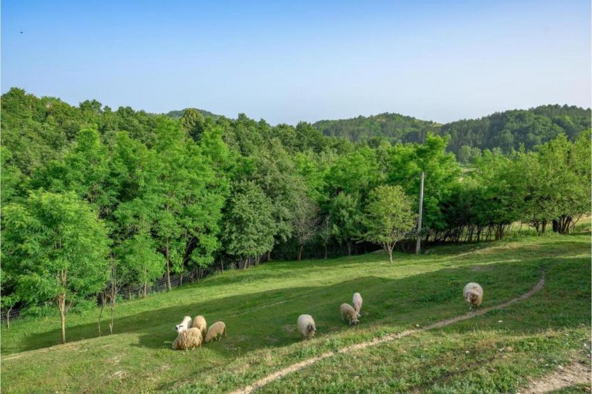 Villa Valpinia - foto 37