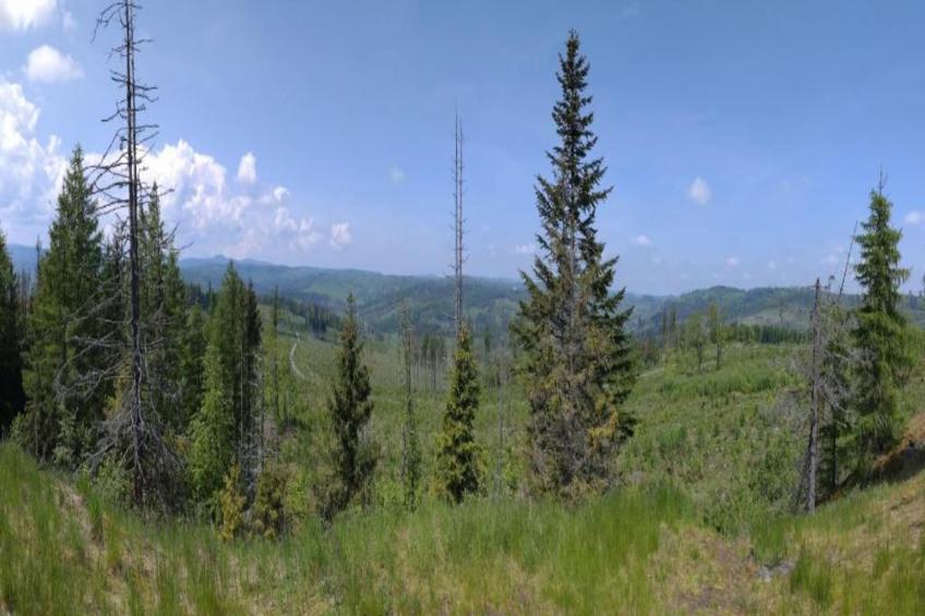 Old Bakery - foto 31