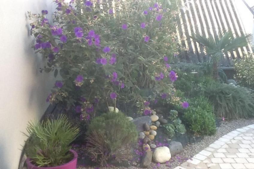 mit Blick auf das Wasser - foto 27