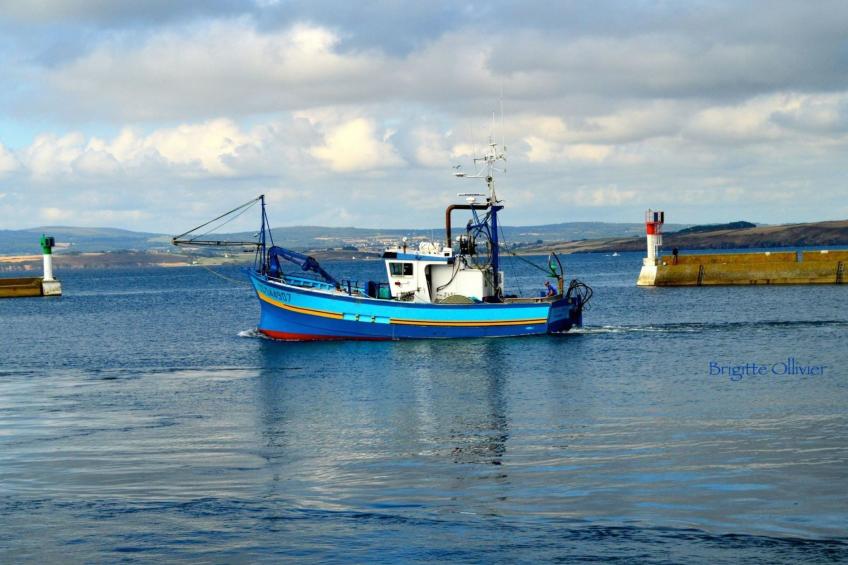 mit eigenem Garten und Grill - foto 19