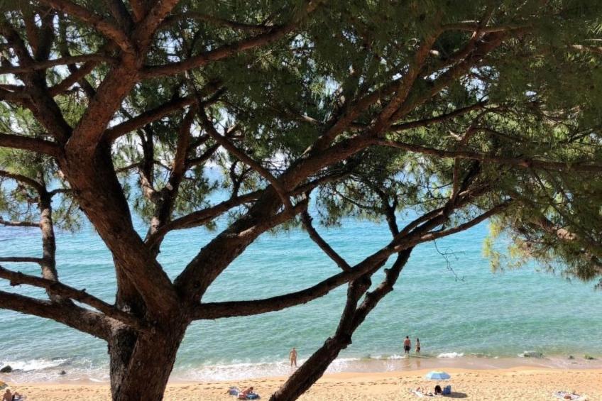 Wohnung an der Strandpromenade - foto 28