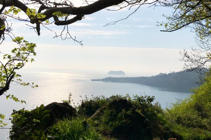 Appartement in Torquay mit Terrasse und Garten - foto 43