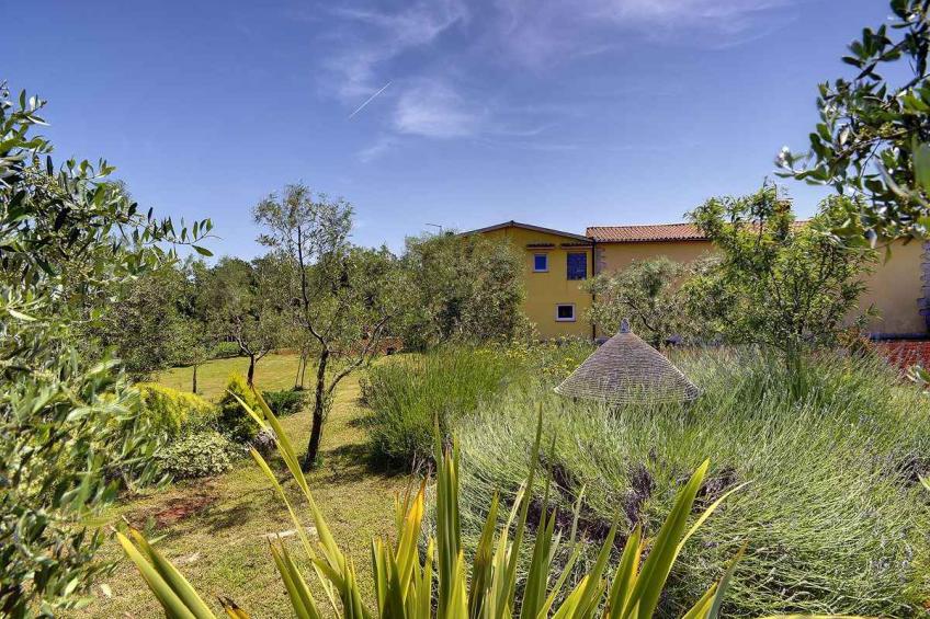 Holiday house with pool - BF-44NCD - foto 6