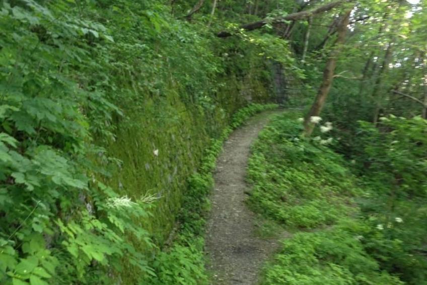 Ursprüngliches, stilvolles Rustico - foto 17