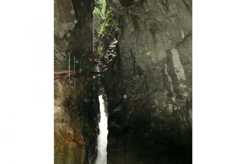 286337 - foto 13