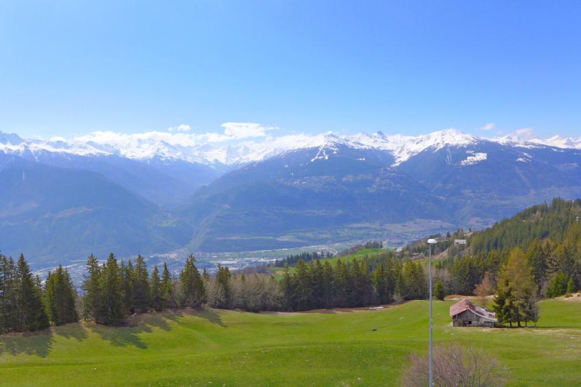 La Clairière des Barzettes A/B - foto 19