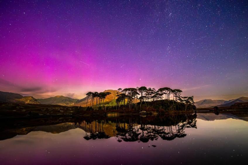 Mobil Home - Bungalow - Cottage à Carna Galway - foto 35