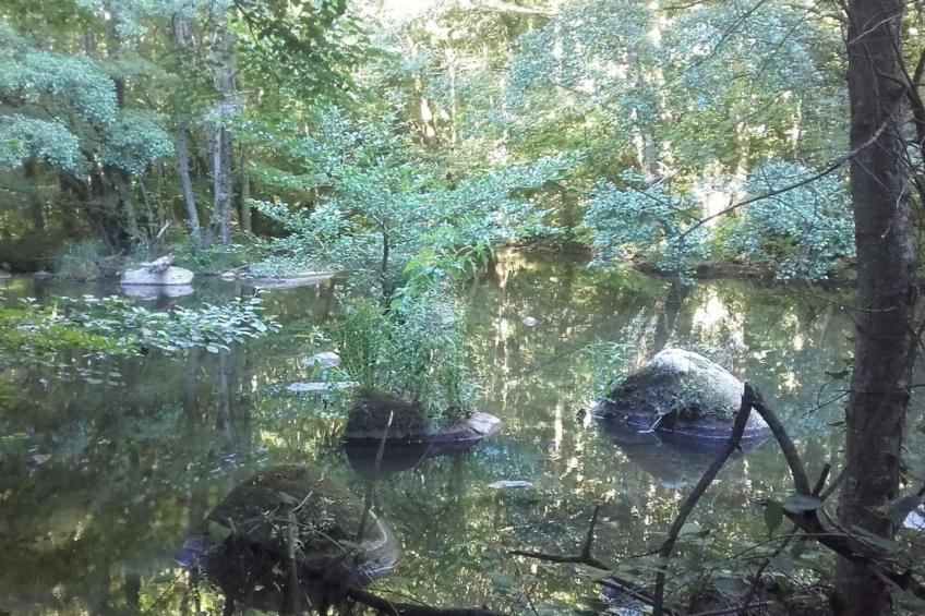 LA CABANE DES REVES - foto 15