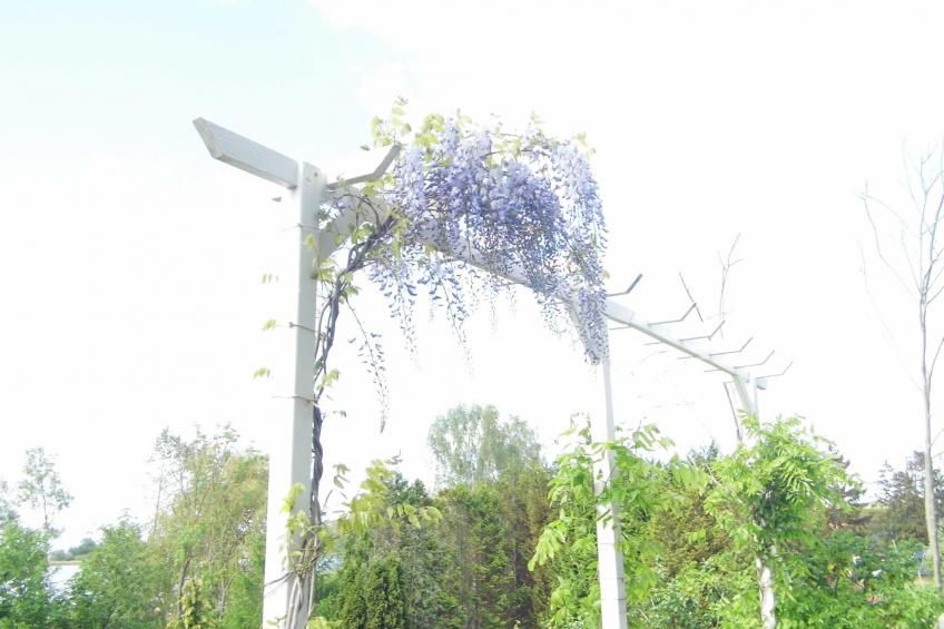 am malerischen Nepperminer See - foto 35