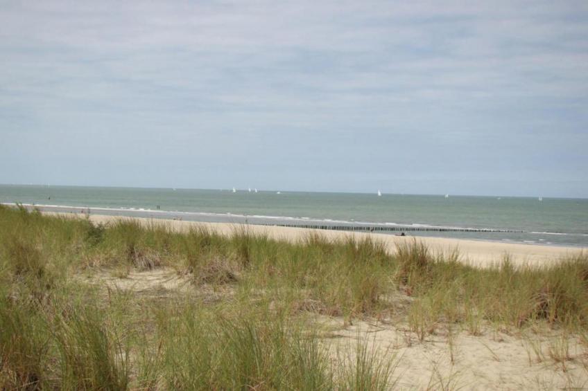 Groot Hof ter Zand - foto 30