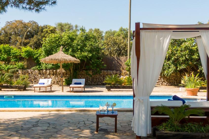 Mulet Llubi - foto 7