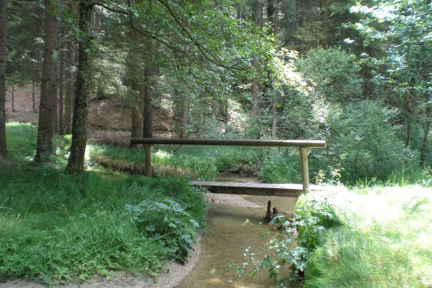 mit Kaminofen, Fitnessraum und Sauna - foto 10