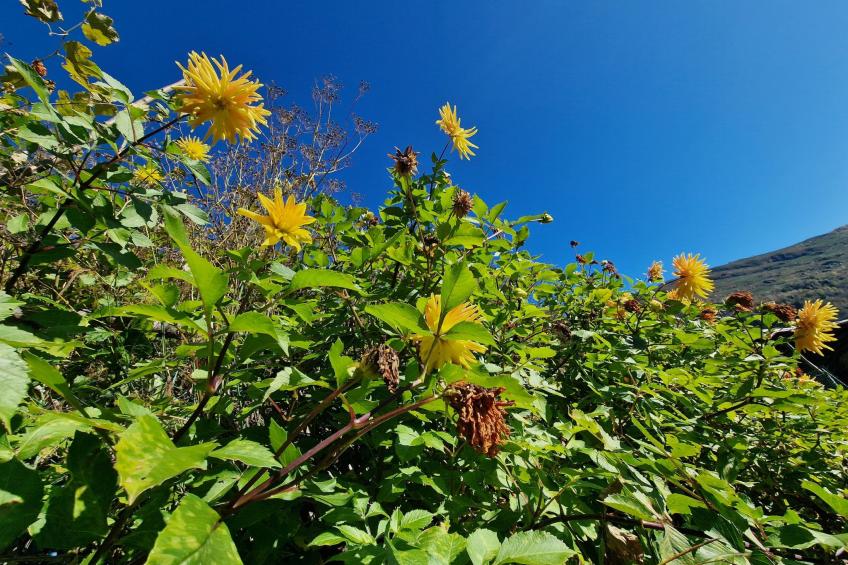 Casa Piccola - foto 30