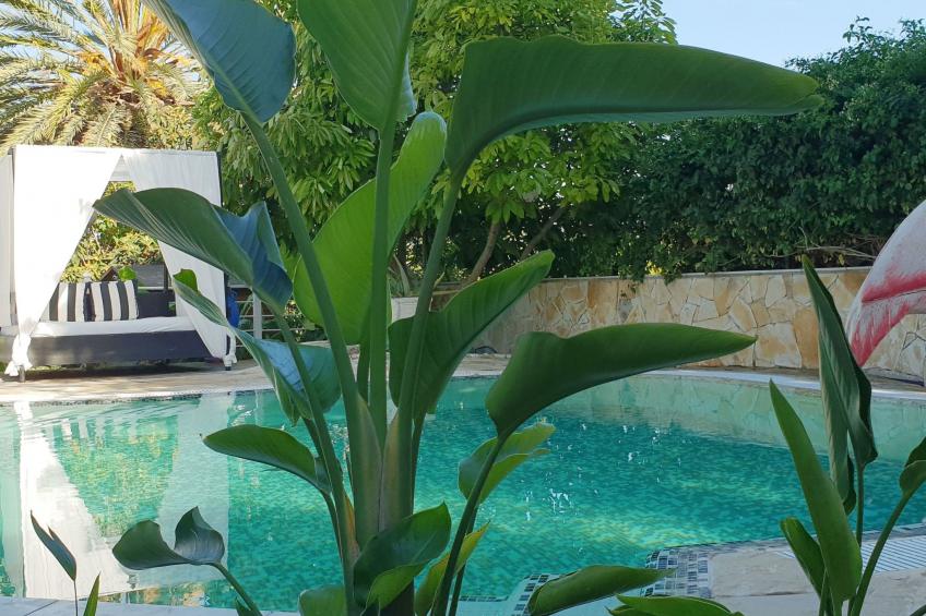 Das Lotus-Haus - foto 10