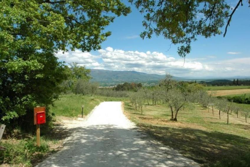 Apartment Rosa Canina (Wilde Rose) - foto 13