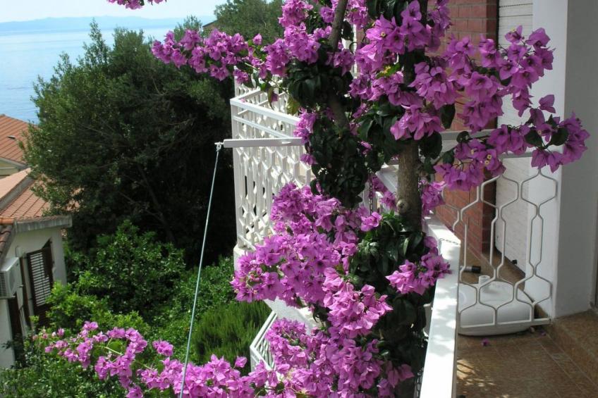 "Dobrila" direkt am Strand - foto 12