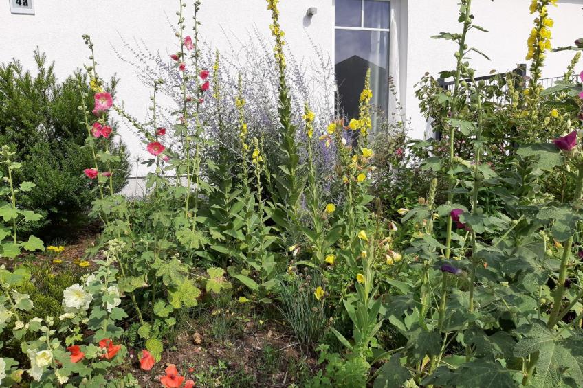 Schönes Ferienhaus in Brochterbeck mit Garten - foto 18