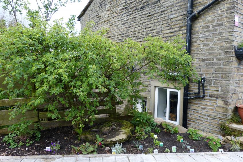 Gemütliches Ferienhaus für 2 Personen und 1 Kind - foto 15